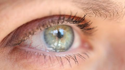 A close up of a green eye