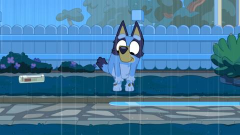 Watch Bluey Series 3 Rain