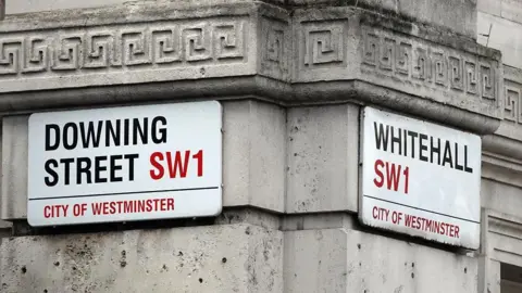 Downing Street and Whitehall street signs