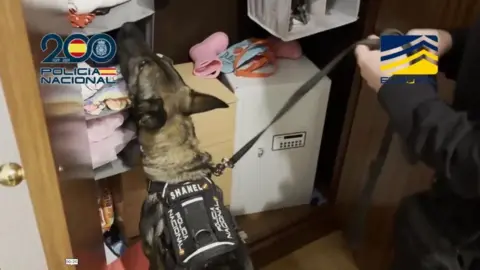 Policia Nacional A police dog looks in a cupboard which contains a safe and a small chest of drawers. The image is watermarked with the logos of the Spanish National Police and Interpol. 