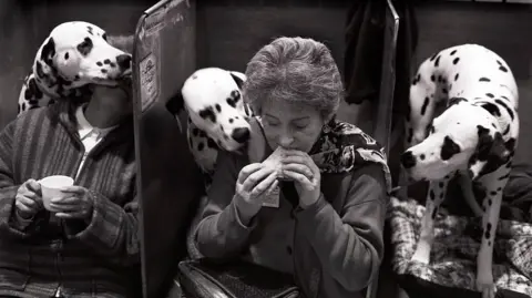 Getty Images A man and a woman are wearing dark coloured clothing and sitting in dog booths. The woman is eating a sandwich while a Dalmatian peers over her shoulder. Another Dalmatian is leaning over the man's face while he holds a cup. A third Dalmatian is sitting to the right of the woman and peering at her sandwich.