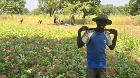 Ghanaian cashew nut farmer Nashiru Seydou