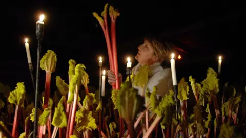 Janet Oldroyd-Hulme picks rhubarb by candlelight. She is a woman with blonde hair and a white jumper. She stands in the dark holding pink rhubarb sticks with small green/yellow leaves.