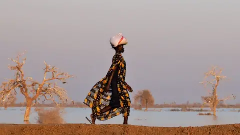 Getty Images A woman in a black dress with pineapples printed on it walks along an earthen dyke with a package on her head. On the other side of the dyke are several trees surrounded by flood water - Bentiu, South Sudan