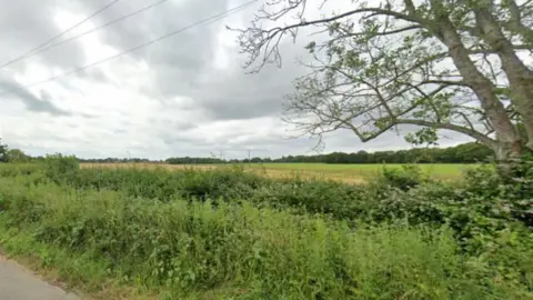 Google A hedge, field and tree near Alfold where a 400-home development is planned