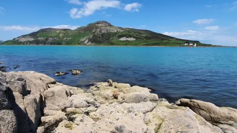 Lynsey McBurnie  Holy Isle from Kingscross Point.