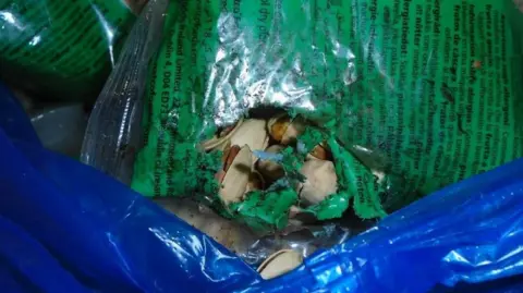 Close-up of a green plastic bag of nuts, gnawed open with teeth marks.