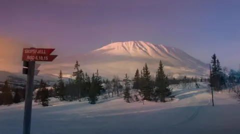 A view of Gaustatoppen mountain covered in snow at sunset, behind a snow-covered field with rows of pine trees.