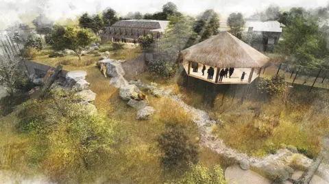 Colchester Zoo A graphic showing the new habitat as it would look, with shrubland, rocks and trees next to a viewing building 